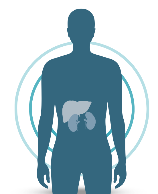 kidney disease icon